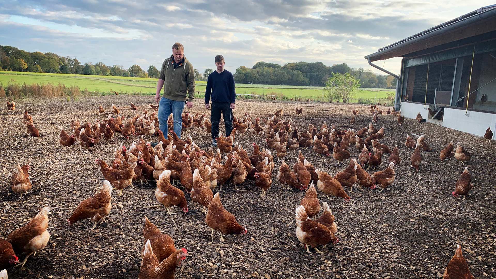 Sitemapcdatahttpwwccellcare1comluxus Helden Der Landwirtschaft Dmax Fotosnull
