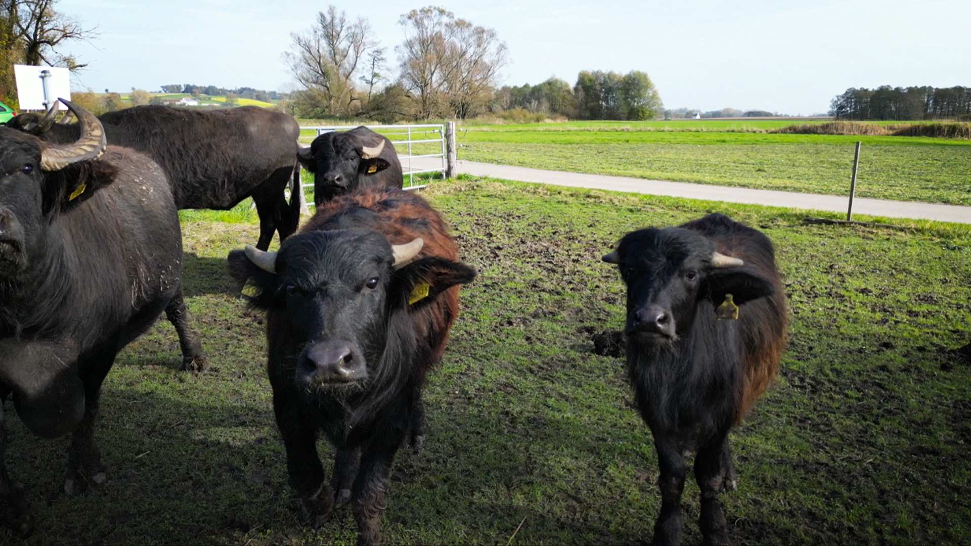 Sitemapcdatahttpwwccellcare1comluxus Helden Der Landwirtschaft Dmax Fotosnull
