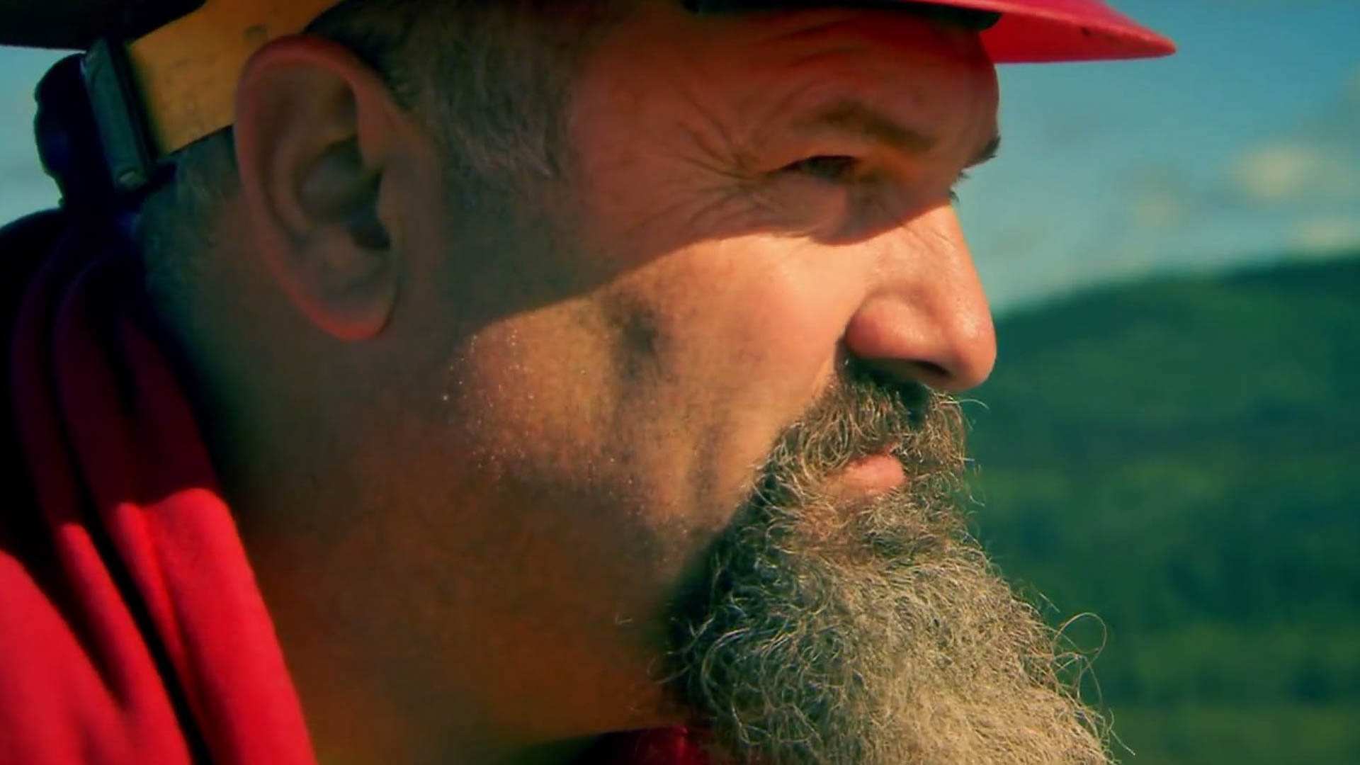 La fiebre del oro, ver online episodios completos gratis